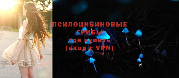 хмурый Алексеевка