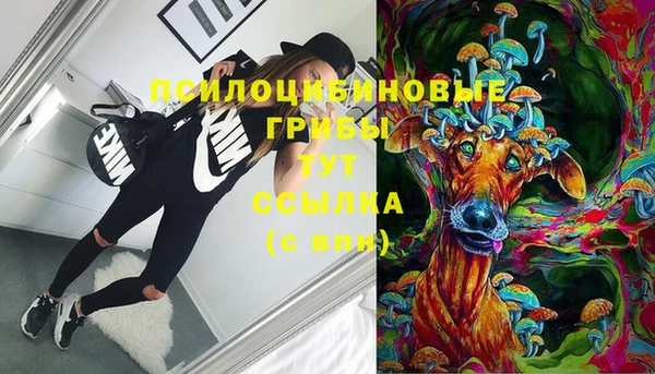 мяу мяу мука Алзамай