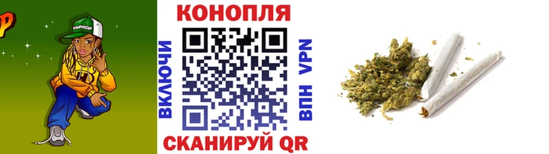 Конопля сатива Завитинск